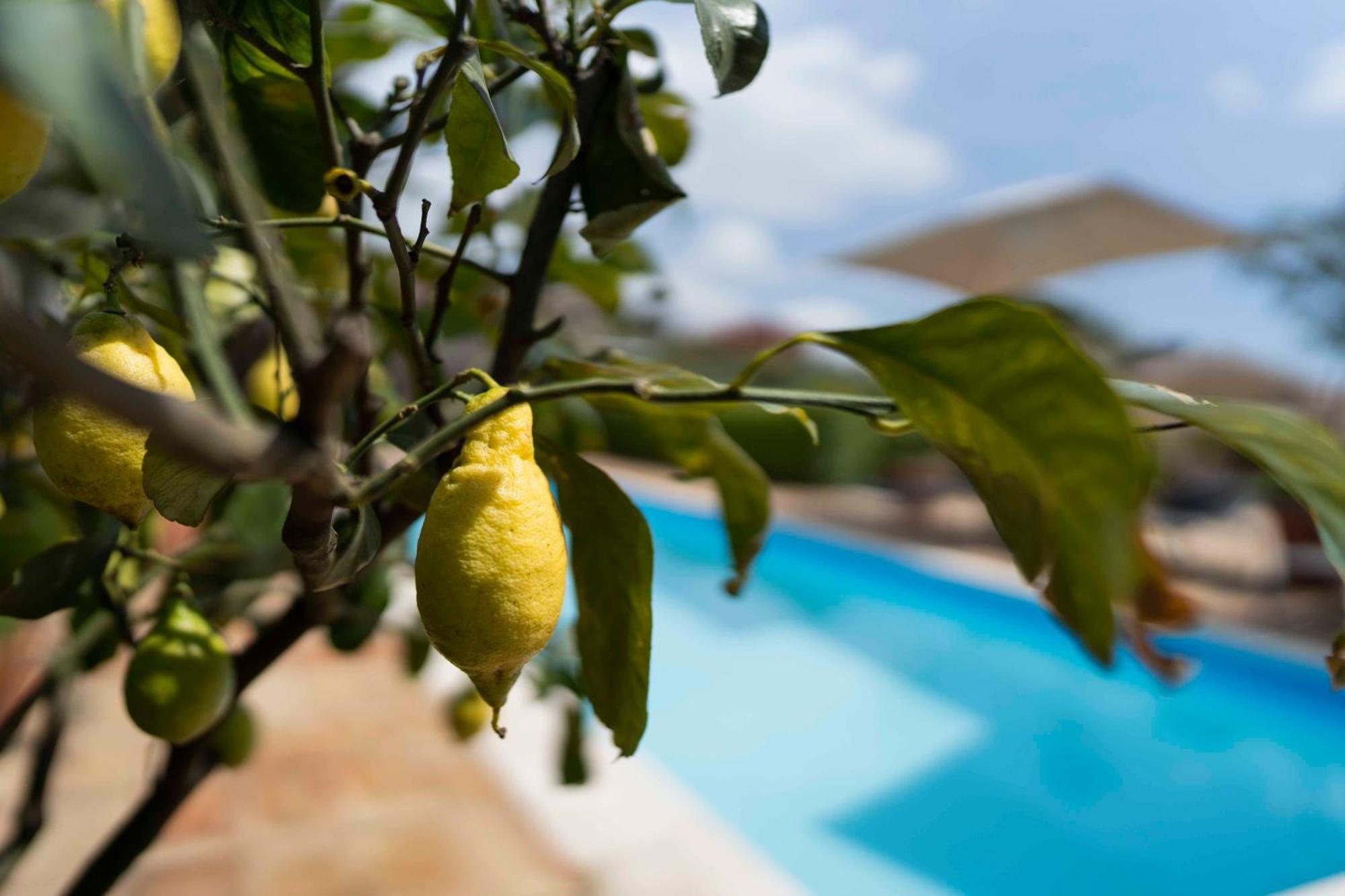 מילו B&B Bellini מראה חיצוני תמונה